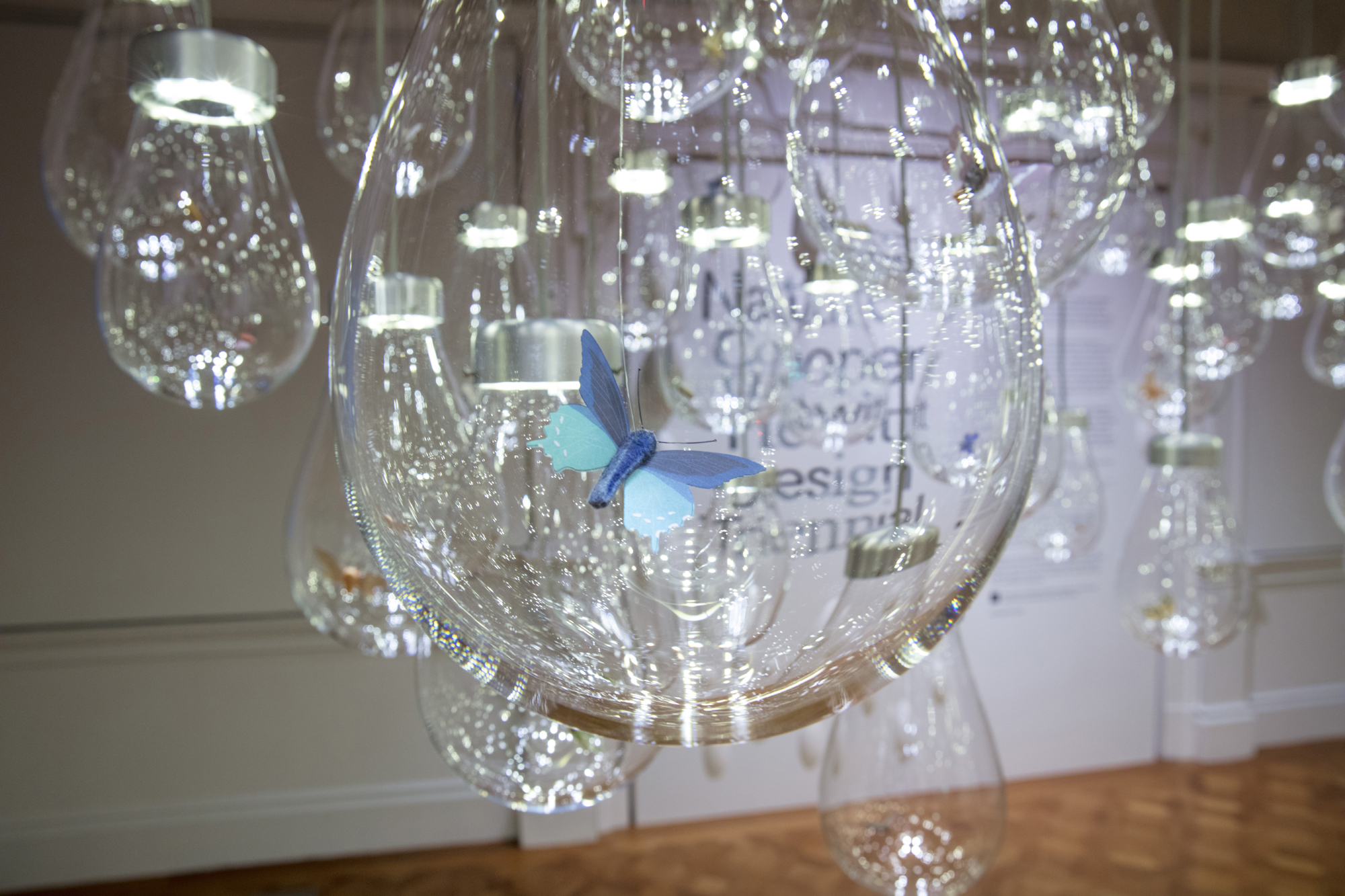 bubble voyage – mischer'traxler studio